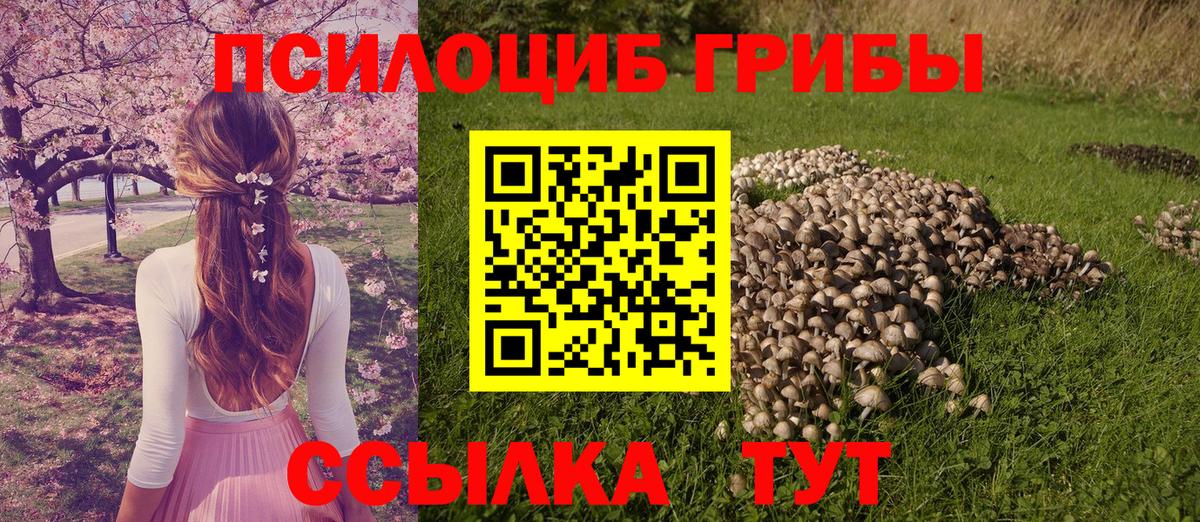 Галлюциногенные грибы прущие грибы Сухой Лог